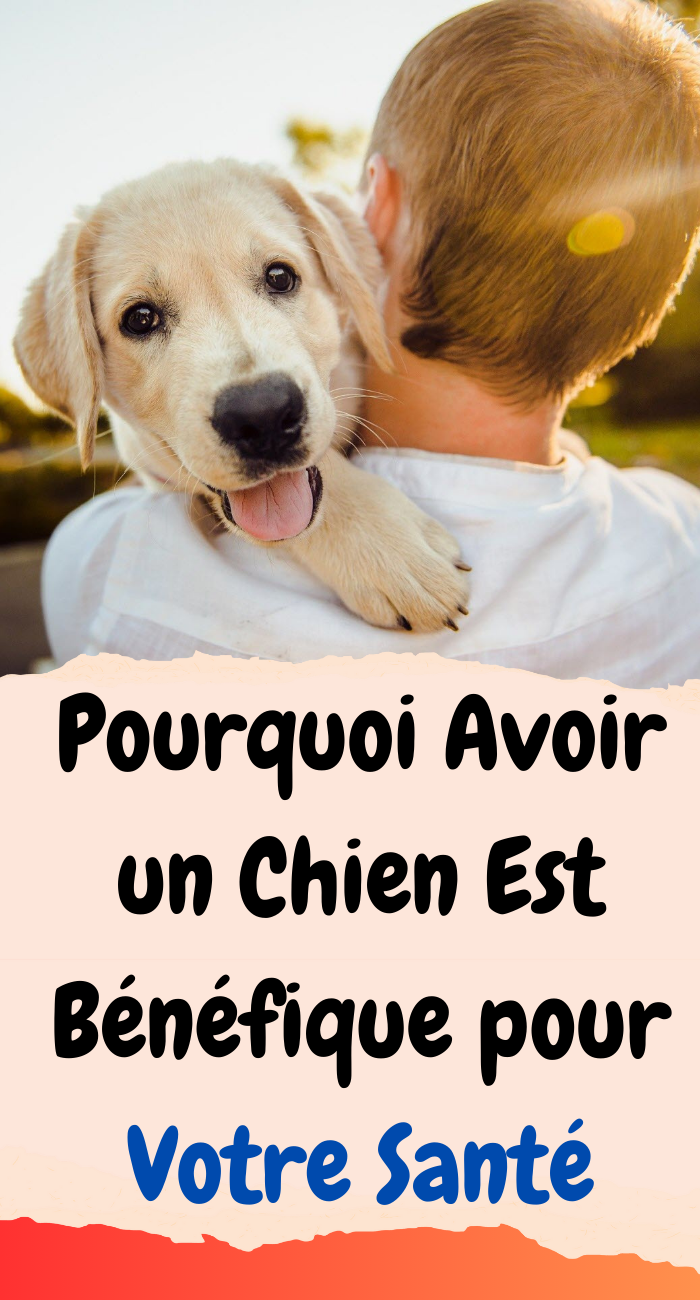 Pourquoi Avoir un Chien Est Bénéfique pour Votre Santé