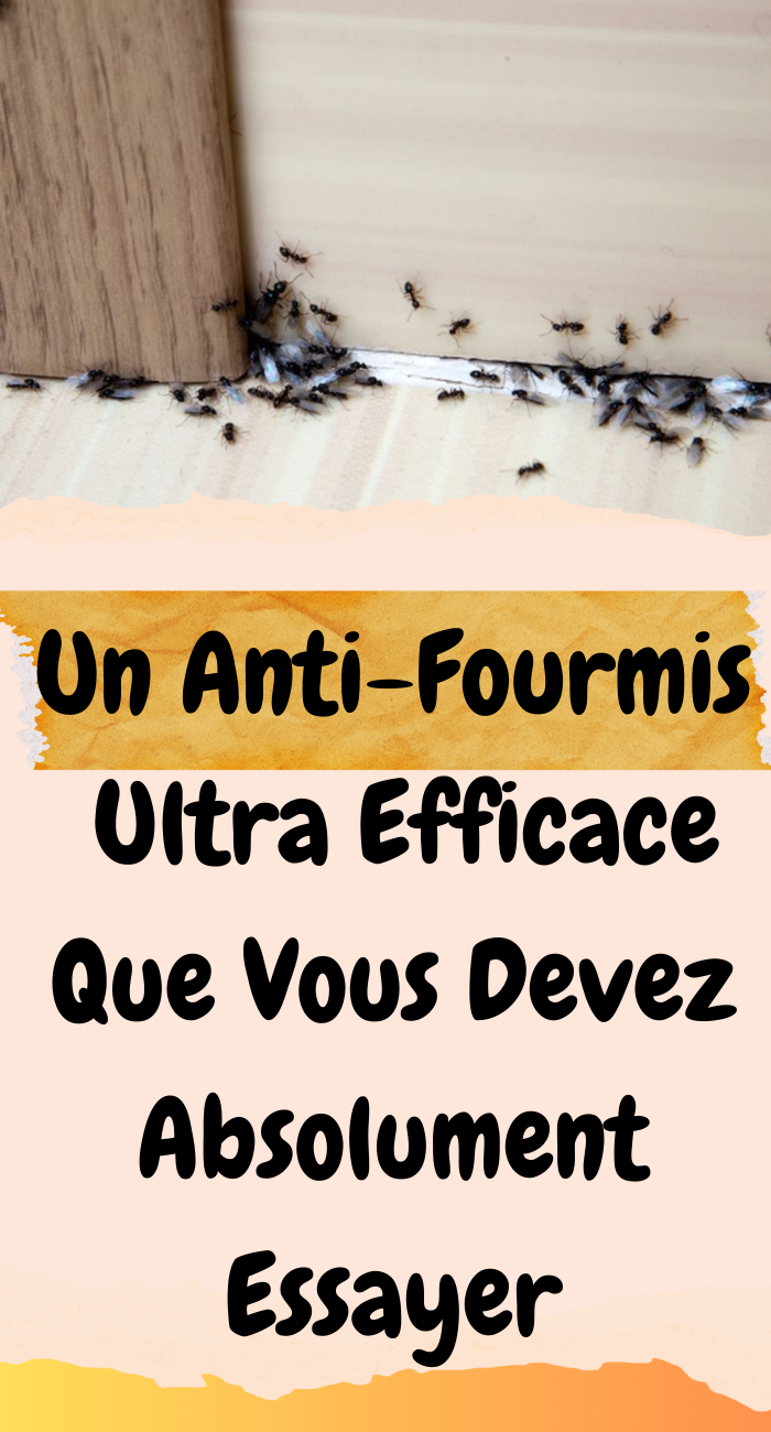 Un Anti-Fourmis