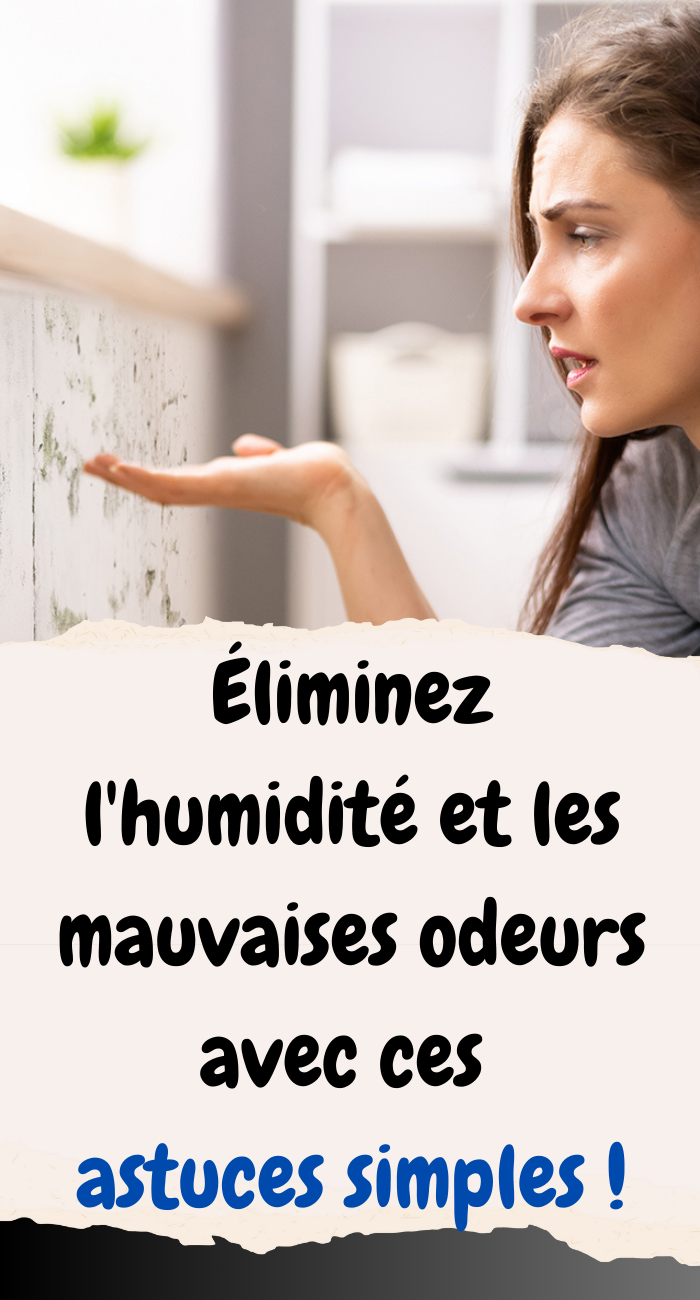 Éliminez l'humidité et les mauvaises odeurs