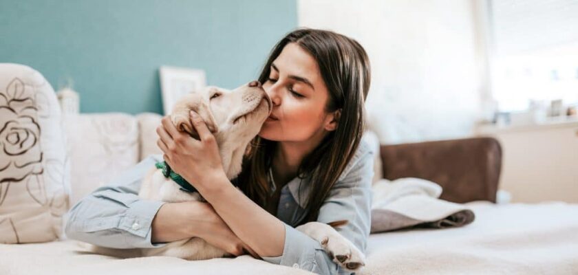 6 Signes qui Prouvent que Votre Chien Vous Aime