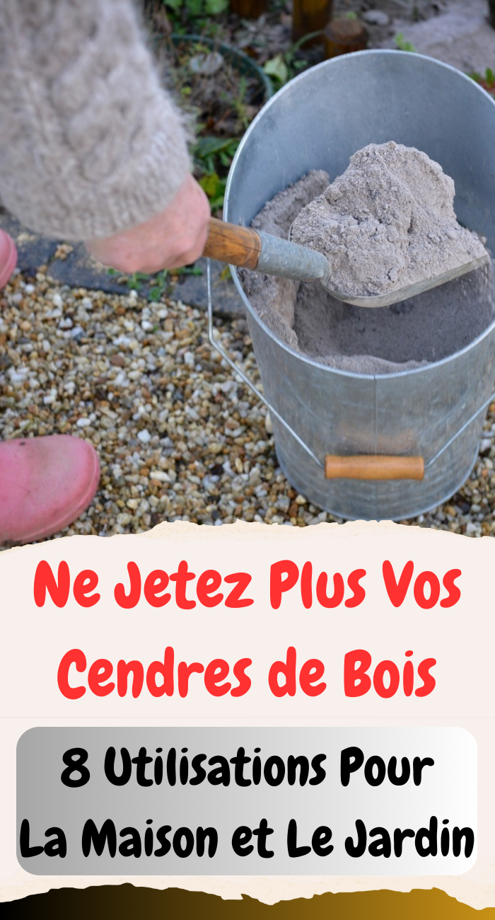 Cendres de Bois