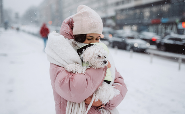 Comment Préparer Votre Chien à l’Hiver