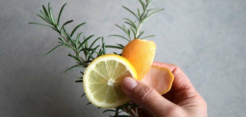 Découvrez comment parfumer la maison avec un citron et un brin de romarin.