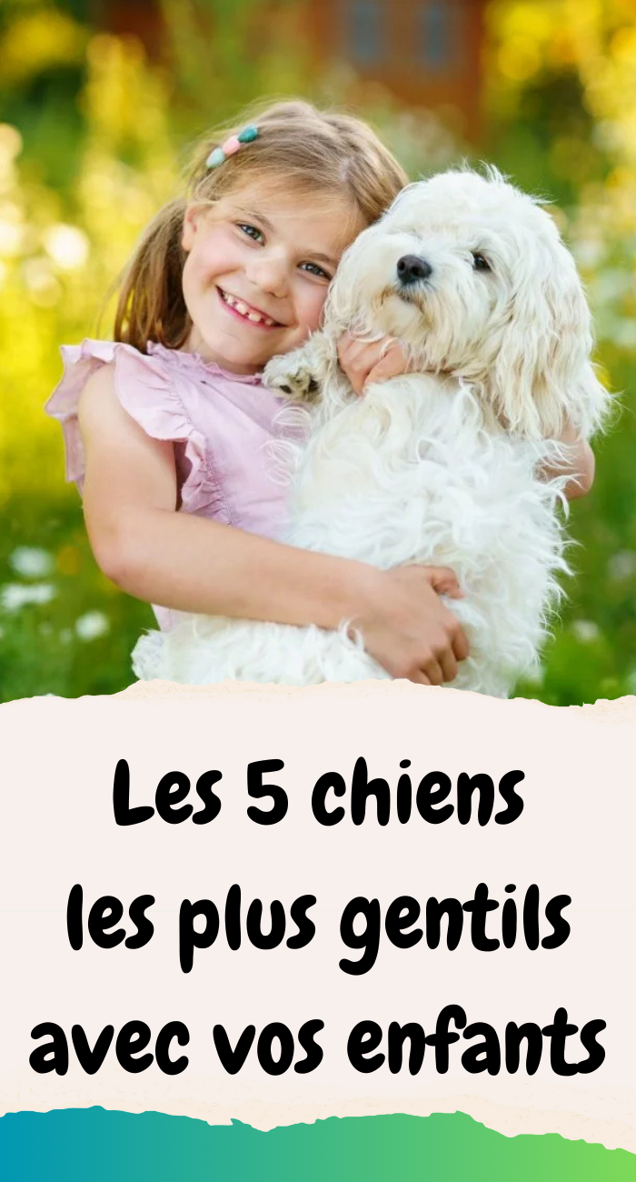 chiens les plus gentils avec vos enfants