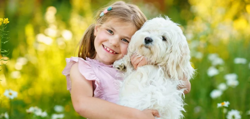 chiens les plus gentils avec vos enfants