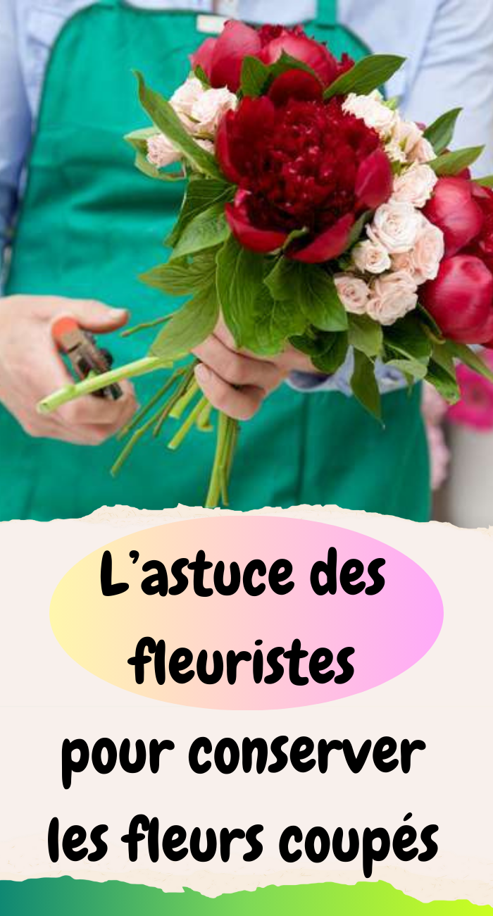 conserver les fleurs coupés