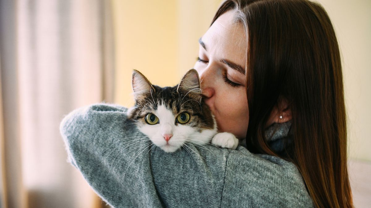 votre chat vous aime