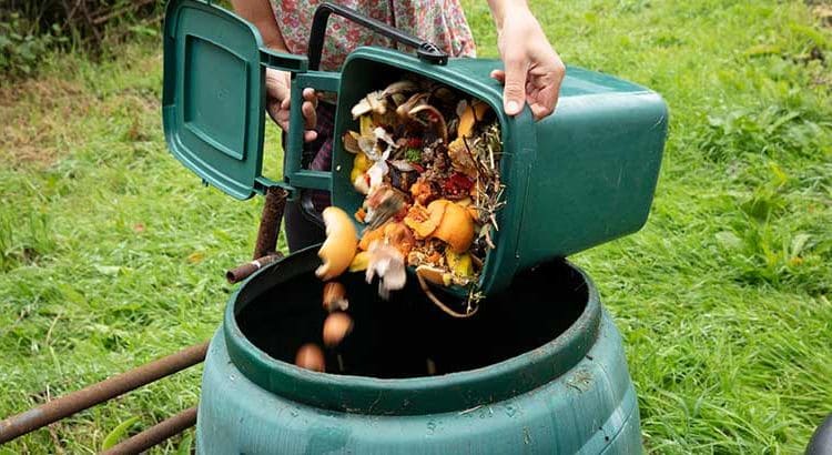 Prévenir les mauvaises odeurs dans votre compost