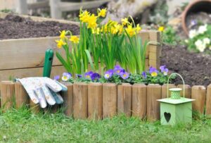 Comment créer une bordure dans son jardin avec des plantes 