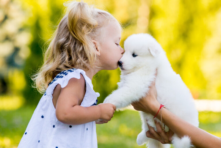 Peut-on faire des bisous à son chien ?