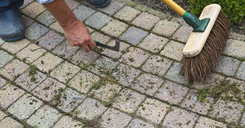 traiter une terrasse contre les mauvaises herbes