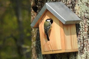 Comment fabriquer un nichoir à oiseaux