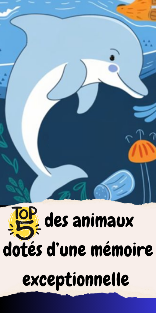 Top 5 des animaux dotés d’une mémoire exceptionnelle :