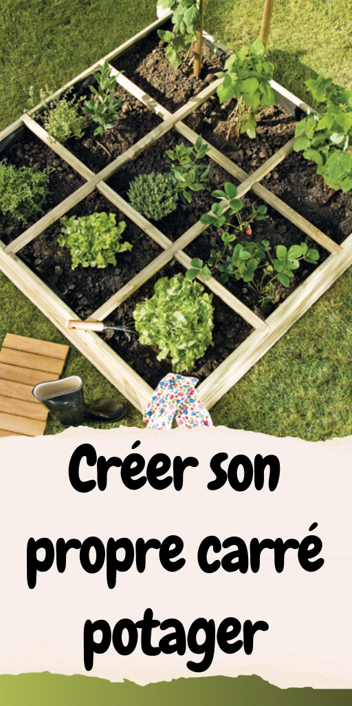 Créer son propre carré potager
